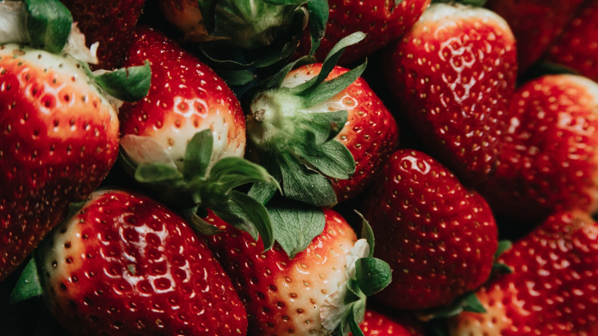 Supervivencia de patógenos en fresas según el grado de maduración.jpg